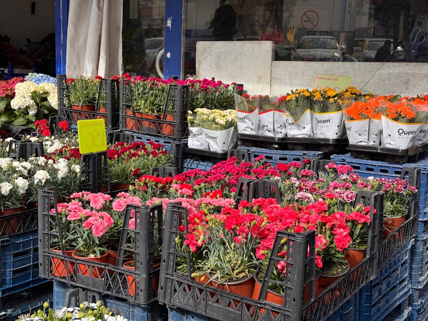 An outdoor display of various potted flowers arranged on black plastic crates and in white paper pots, including pink, red, white, orange, and yellow blooms. The flowers appear fresh with vibrant peta